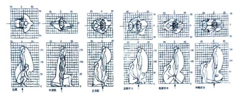 湖南室內(nèi)空間設計中人體與動作空間概述最新4